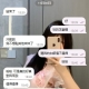 #艾薇兒  160  45  23歲 E奶
